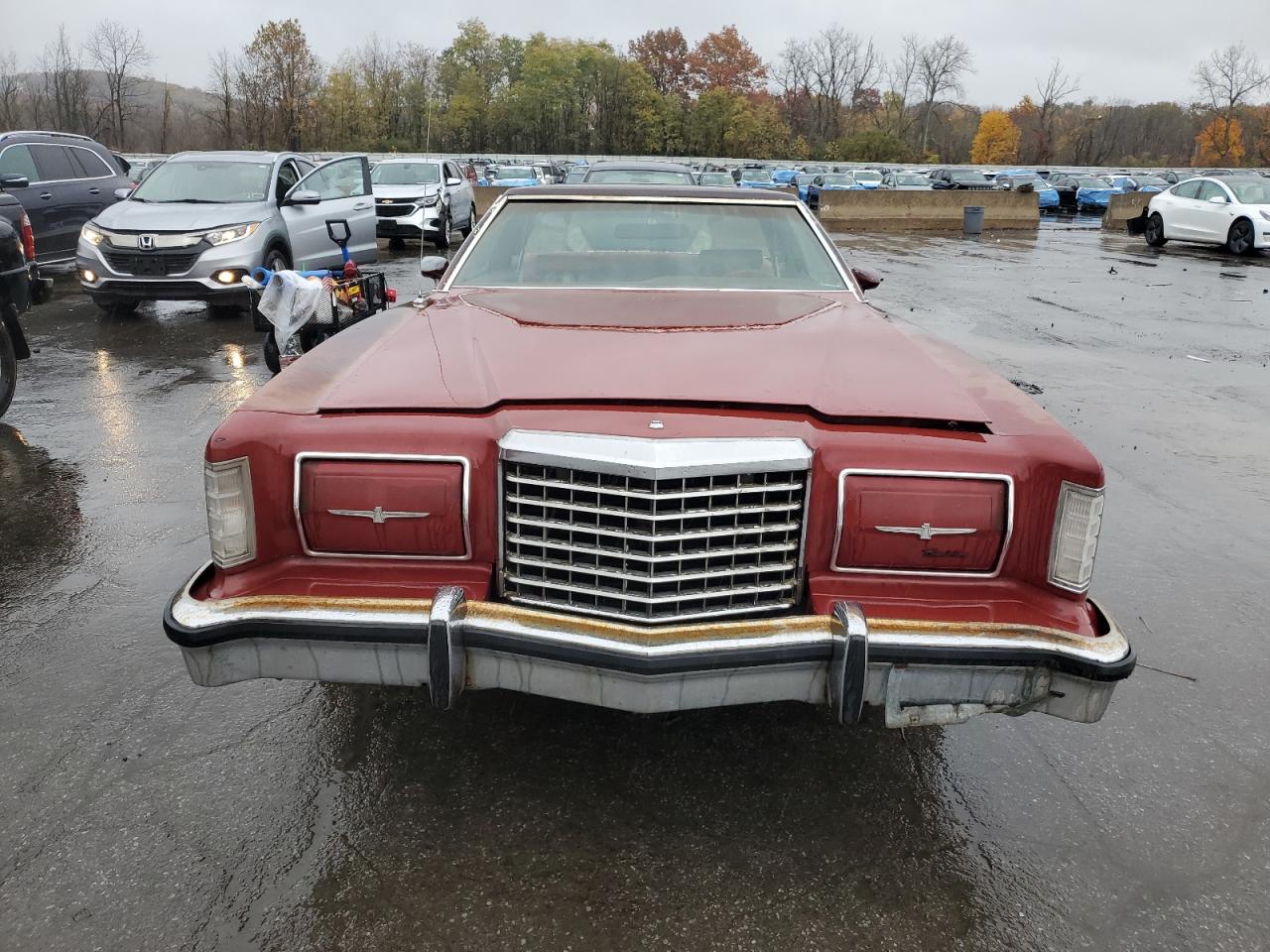 Lot #3286499299 1978 FORD THUNDERBIR