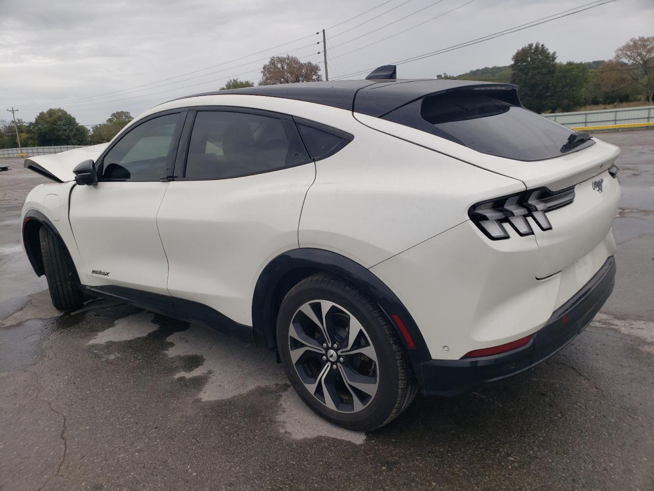 Lot #3311654230 2023 FORD MUSTANG MA
