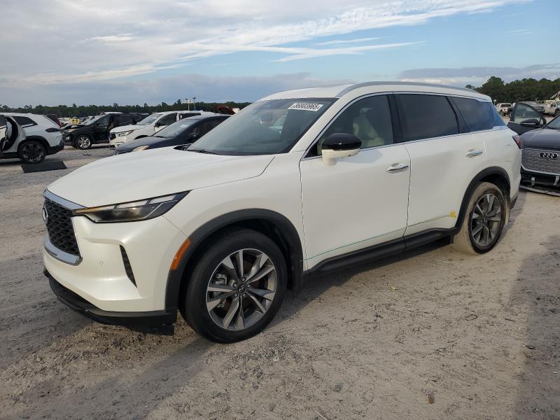 Global Auto Auctions: 2025 INFINITI QX60 LUXE