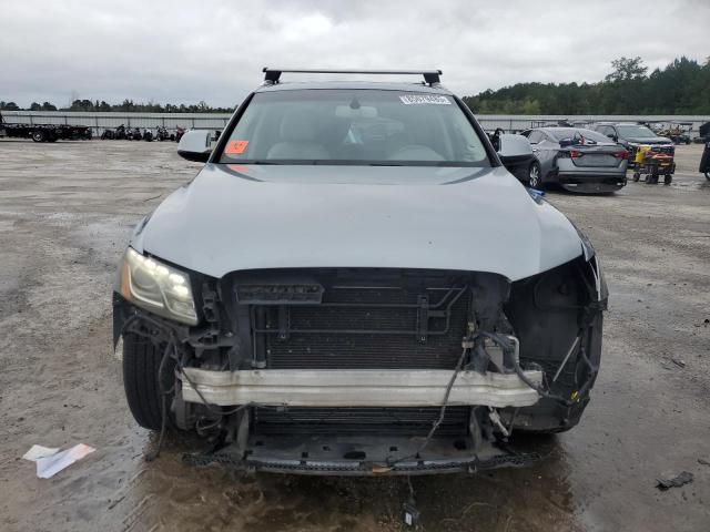 2010 AUDI Q5 PREMIUM PLUS - WA1LKAFP9AA077036