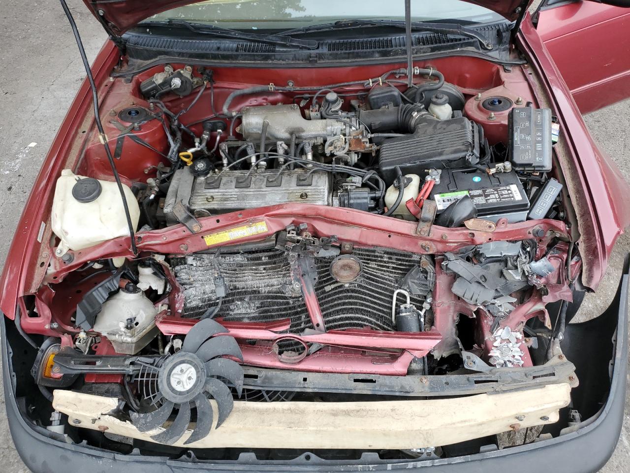 Lot #3285684647 1996 TOYOTA COROLLA DX