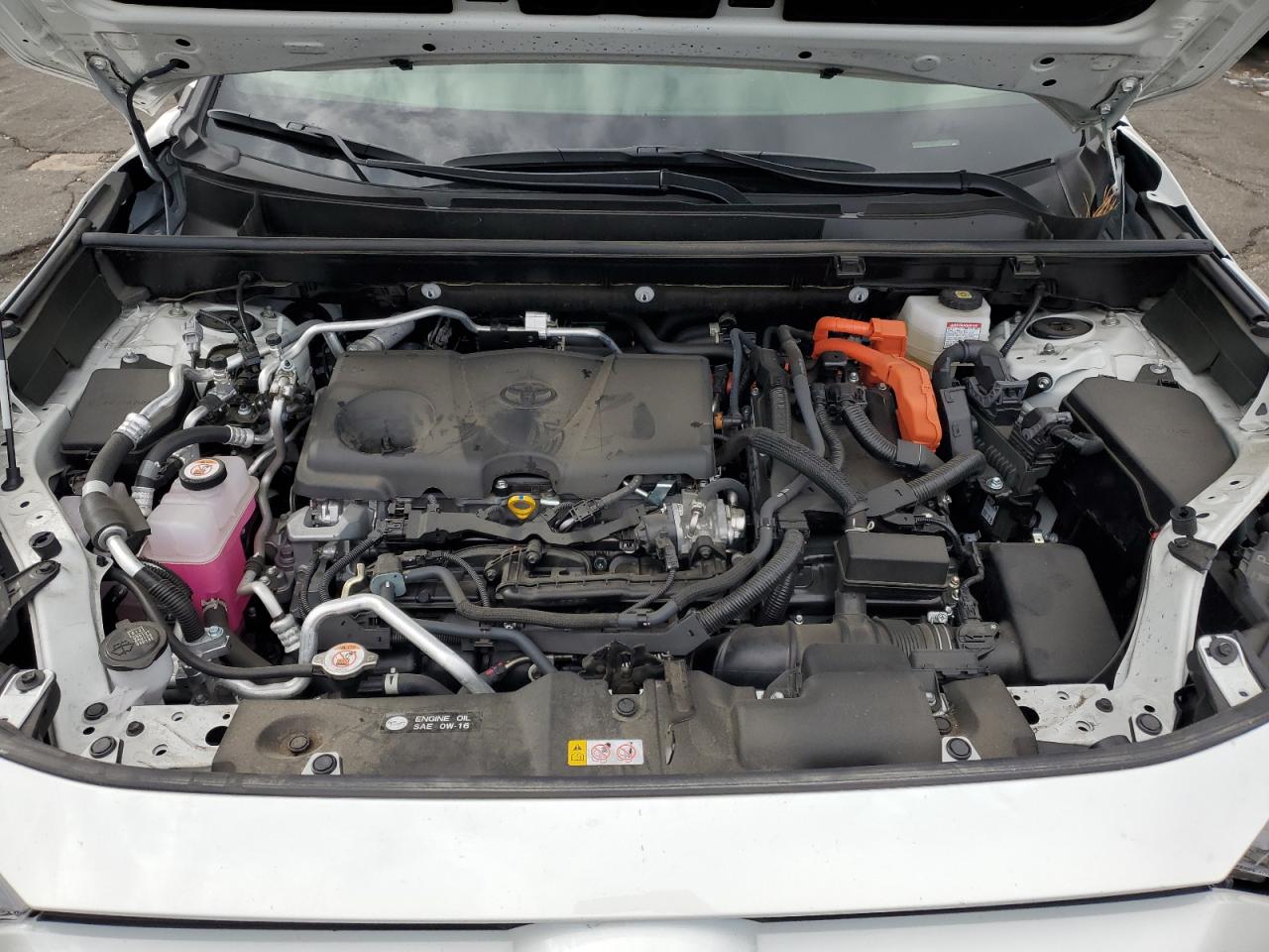 Lot #3308779000 2024 TOYOTA RAV4 PRIME