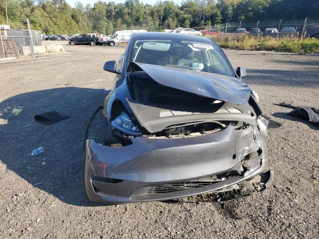 2023 TESLA MODEL Y - 7SAYGDEE5PA164060