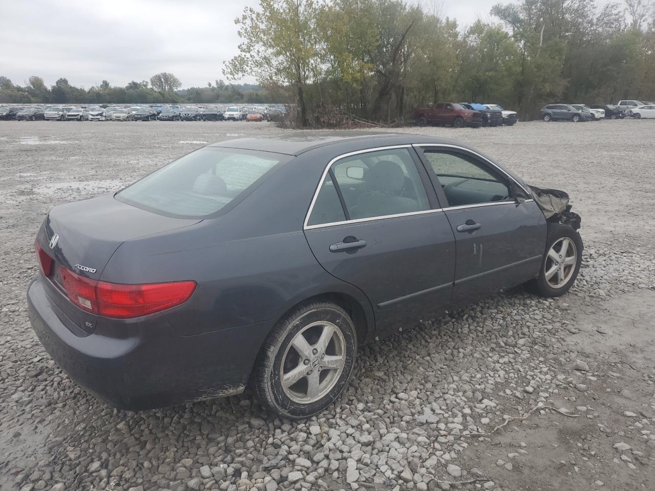 Lot #3286603145 2005 HONDA ACCORD EX