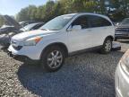 Lot #3315420357 2008 HONDA CR-V EXL