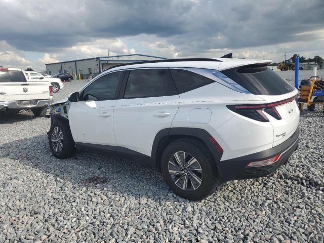 2023 HYUNDAI TUCSON BLU - KM8JBCA15PU087545