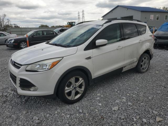 Global Auto Auctions: 2014 FORD ESCAPE SE