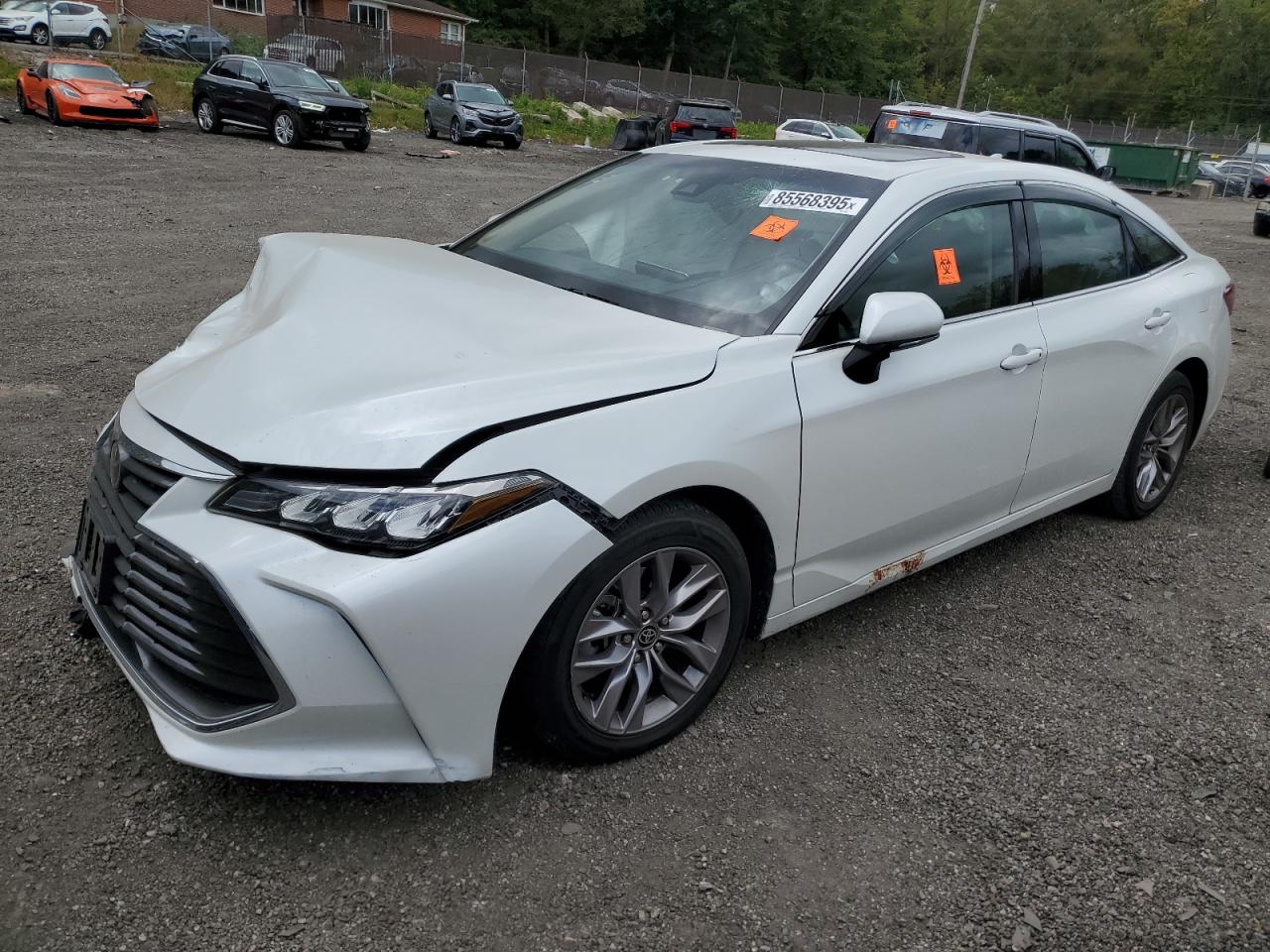 TOYOTA AVALON XLE