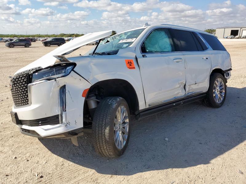 Global Auto Auctions: 2024 CADILLAC ESCALADE P