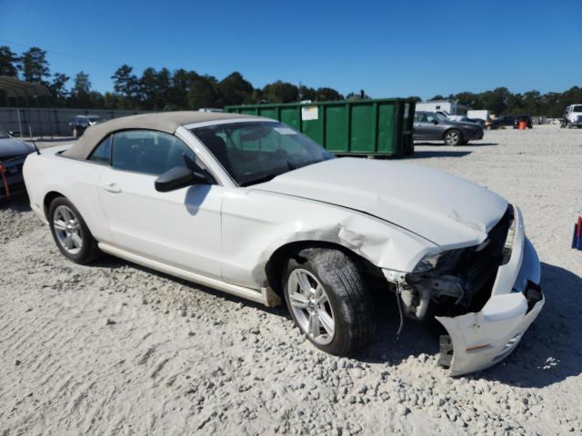 2013 FORD MUSTANG - 1ZVBP8EMXD5205085