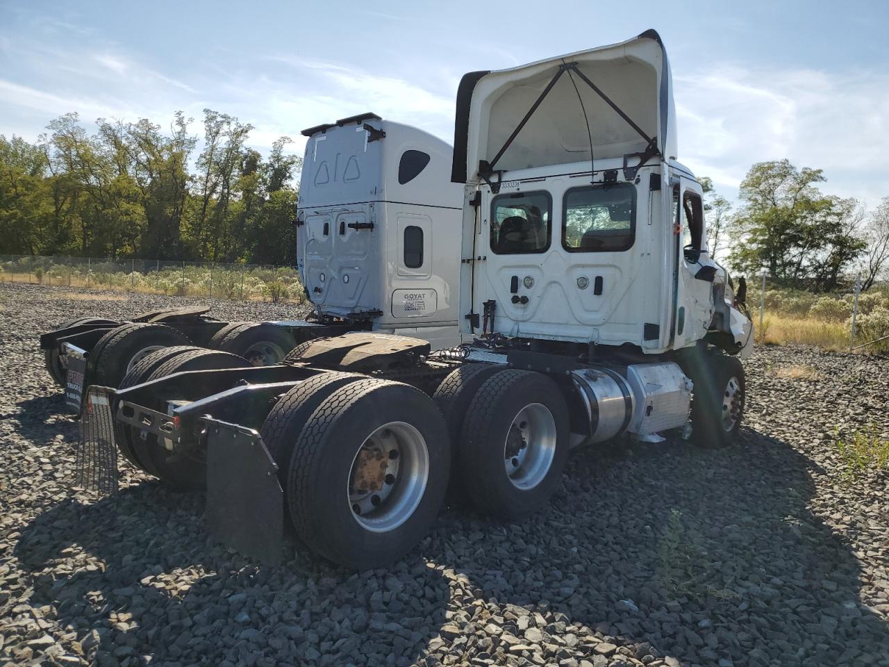 Lot #3268239091 2020 FREIGHTLINER CASCADIA 1