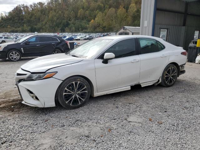Global Auto Auctions: 2019 TOYOTA CAMRY L