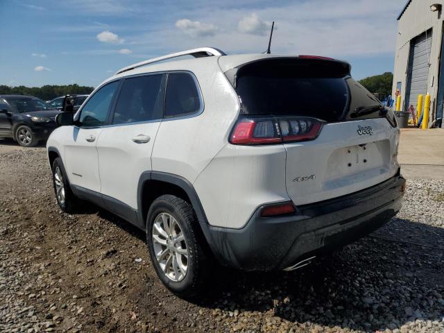 2019 JEEP CHEROKEE L - 1C4PJMCX7KD156222