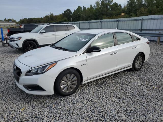 Global Auto Auctions: 2017 HYUNDAI SONATA HYB