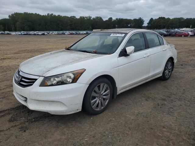 Global Auto Auctions: 2011 HONDA ACCORD EXL