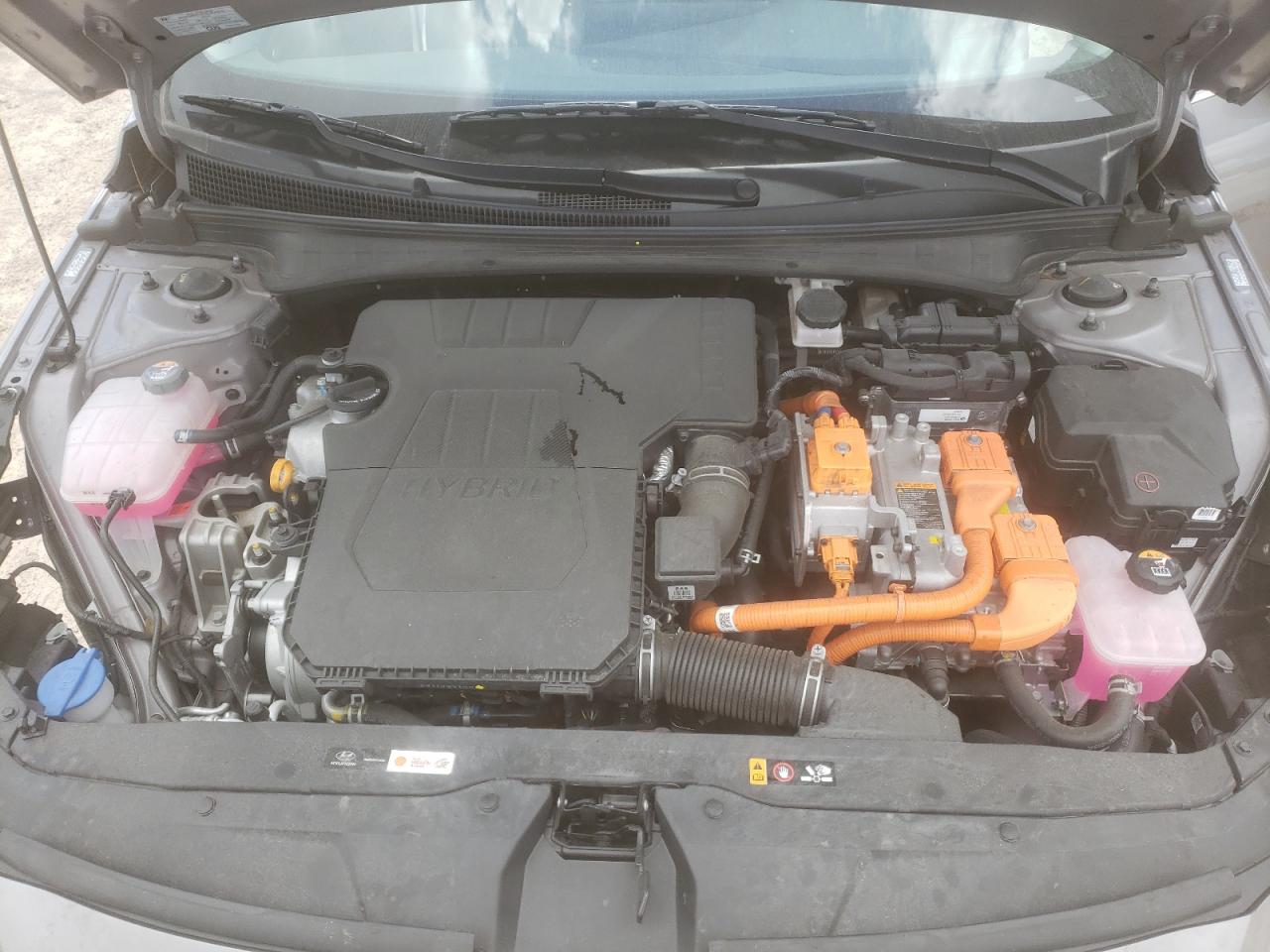 Lot #3302831899 2023 HYUNDAI ELANTRA LI