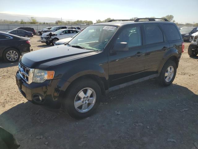 2010 FORD ESCAPE XLT - 1FMCU0D73AKC89675