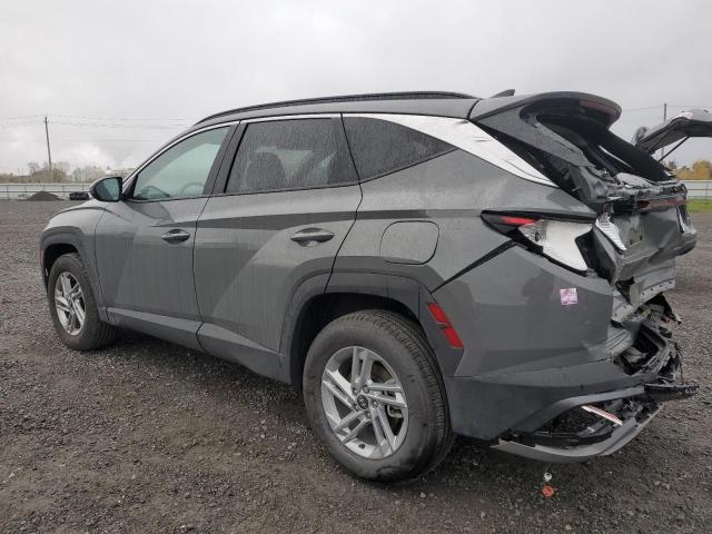 2025 HYUNDAI TUCSON SEL 5NMJBCDEXSH553859