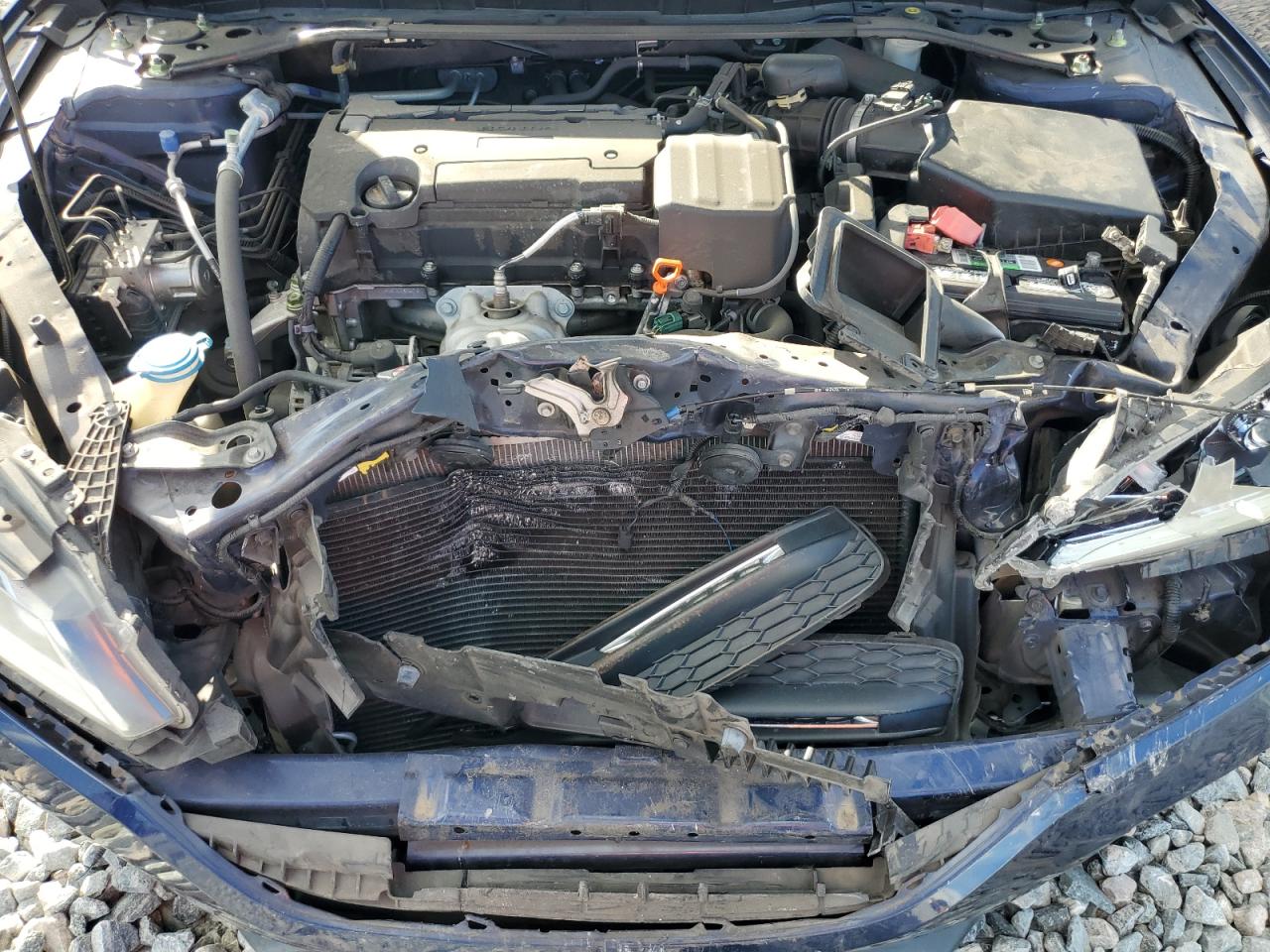 HONDA ACCORD SPORT SPECIAL EDITION