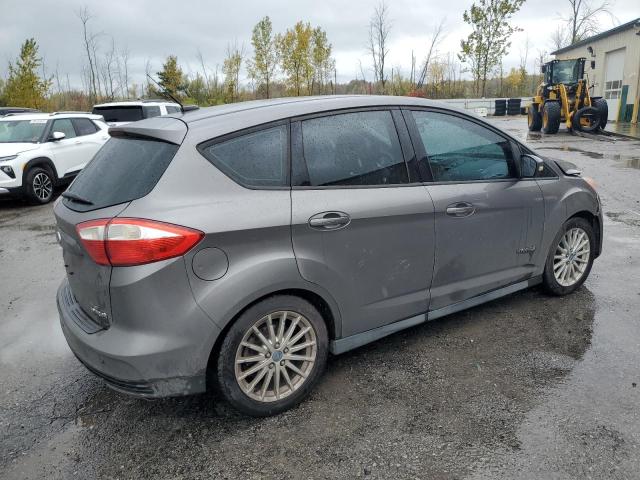 2013 FORD C-MAX SE - 1FADP5AUXDL504531