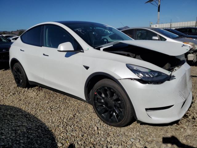 2023 TESLA MODEL Y - 7SAYGDEE6PF589144