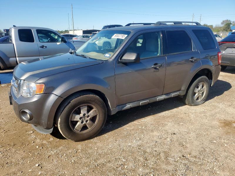 2010 FORD ESCAPE XLT - 1FMCU9DG3AKD41259