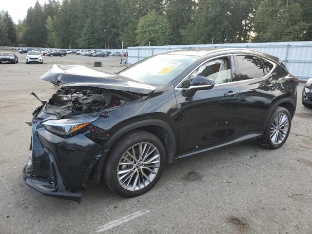 2024 LEXUS NX 350H BA 2T2HKCEZ1RC016874