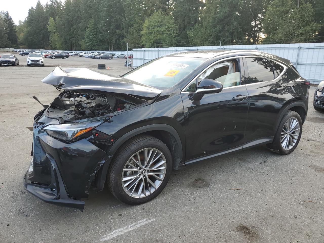 LEXUS NX 350H BASE