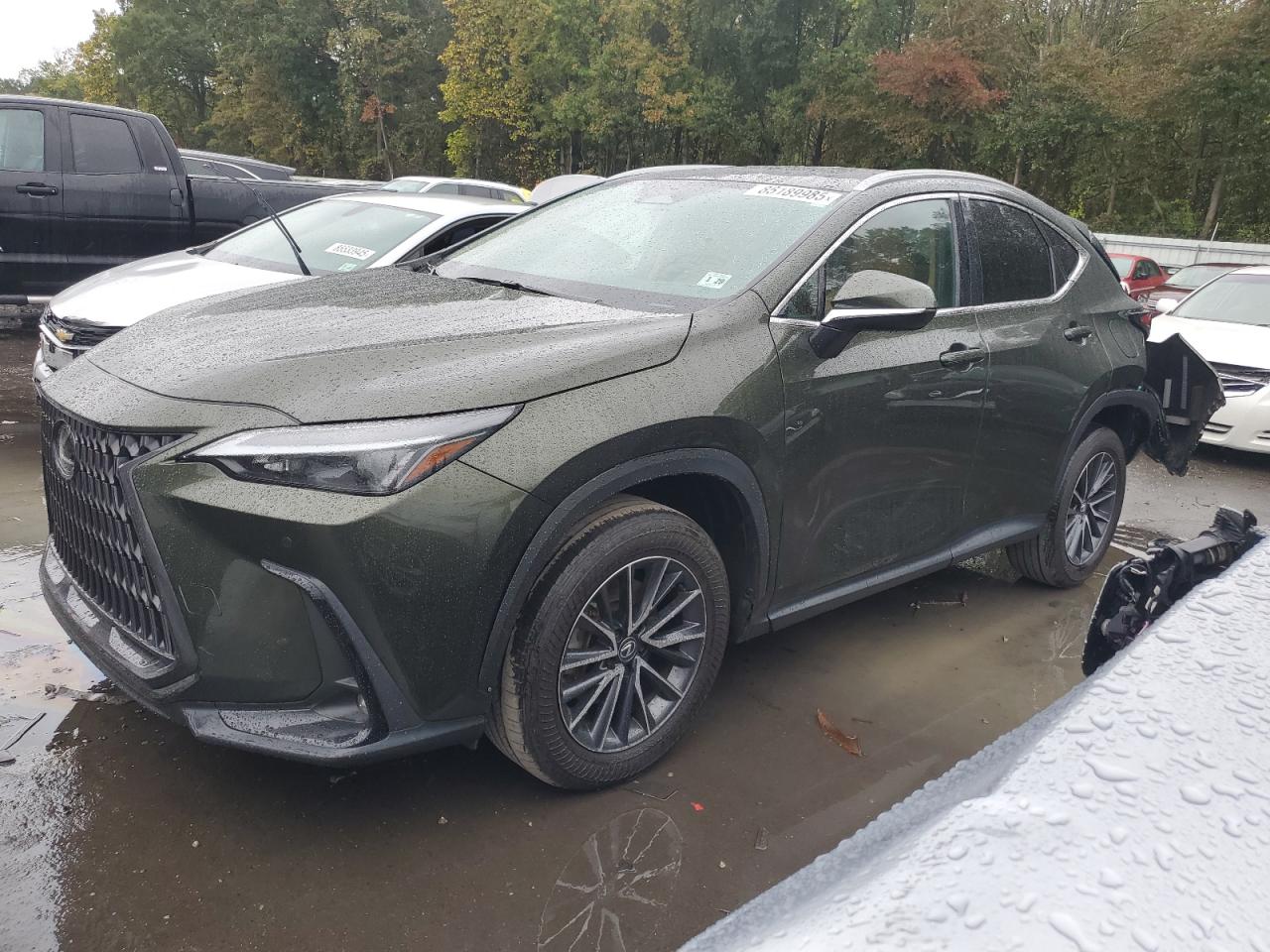 LEXUS NX 350 PREMIUM