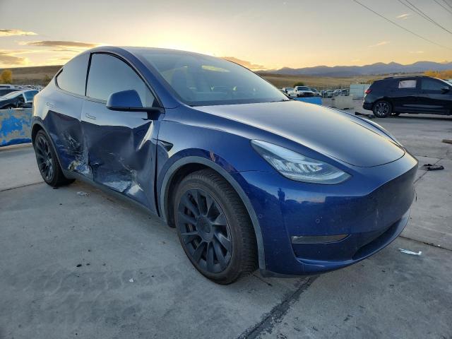 2022 TESLA MODEL Y #3284381059