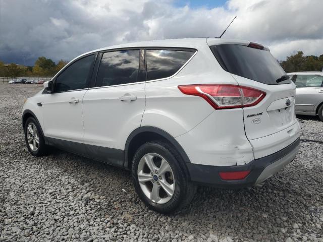 2014 FORD ESCAPE SE - 1FMCU0GX9EUB17091
