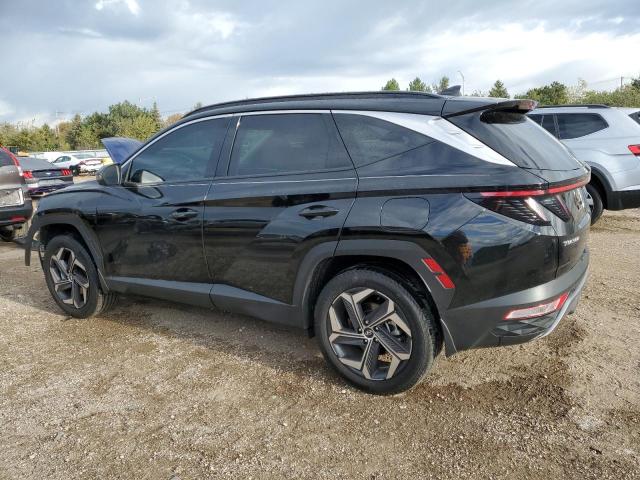 2024 HYUNDAI TUCSON LIM #3285710659