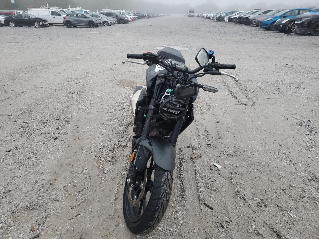 Lot #3278789653 2024 HONDA CBF300 NA