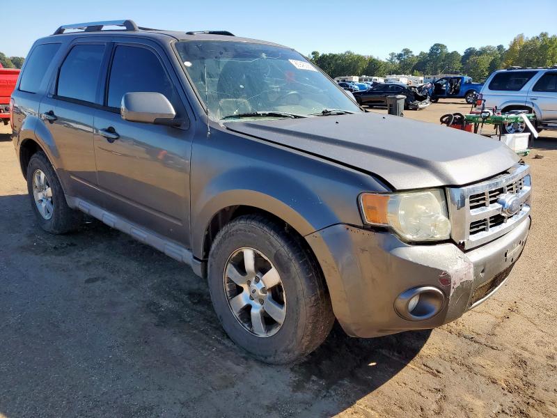 2011 FORD ESCAPE LIM - 1FMCU0EG4BKC42316