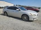 Lot #3292546674 2013 NISSAN MAXIMA S