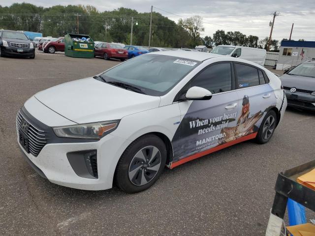 Global Auto Auctions: 2019 HYUNDAI IONIQ SEL