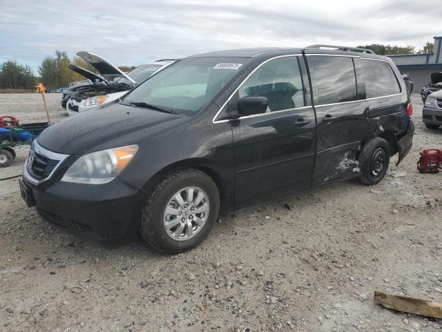 Global Auto Auctions: 2010 HONDA ODYSSEY EX