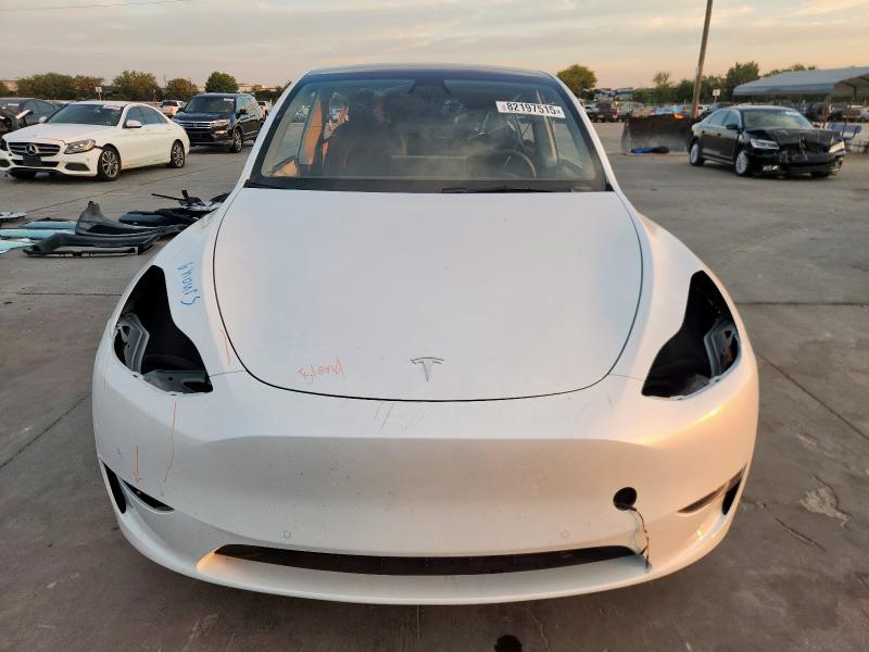 2021 TESLA MODEL Y #3285688660