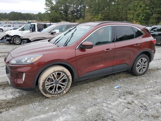 Global Auto Auctions: 2021 FORD ESCAPE SEL