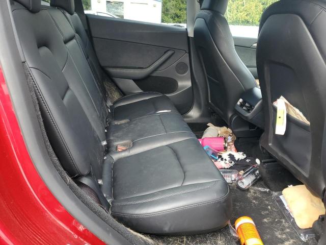 2025 TESLA MODEL Y - 7SAYGDEE9SF244389