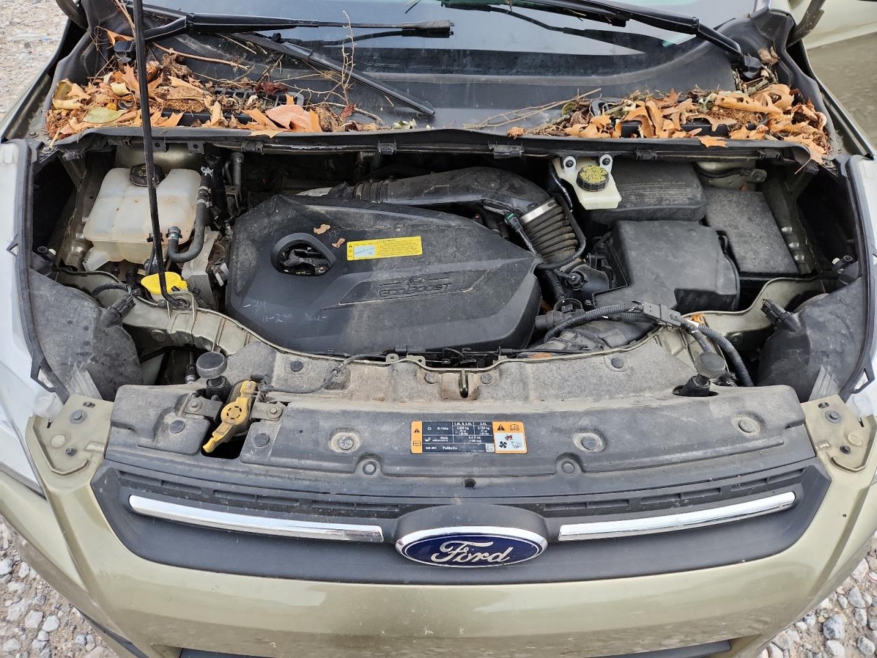 Lot #3287737180 2014 FORD ESCAPE SE