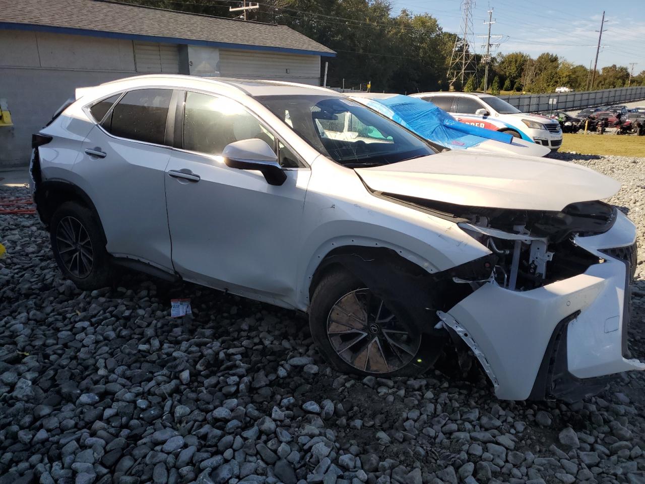 LEXUS NX 350H BASE