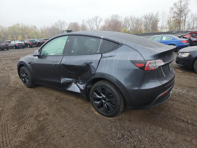 2025 TESLA MODEL Y #3311460286