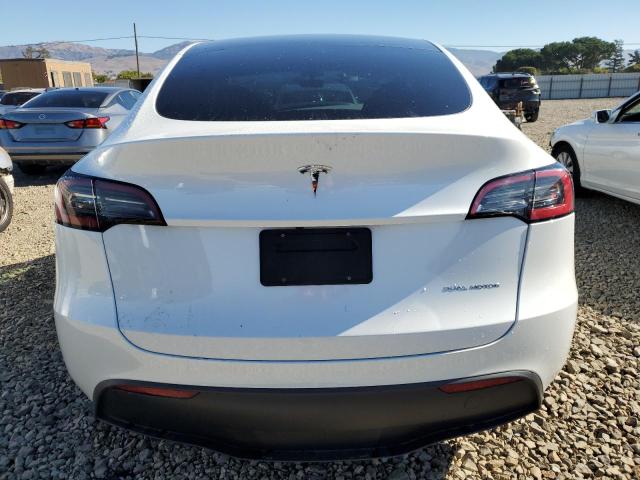 2023 TESLA MODEL Y - 7SAYGDEE6PF589144