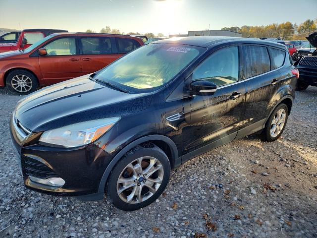Global Auto Auctions: 2013 FORD ESCAPE SEL