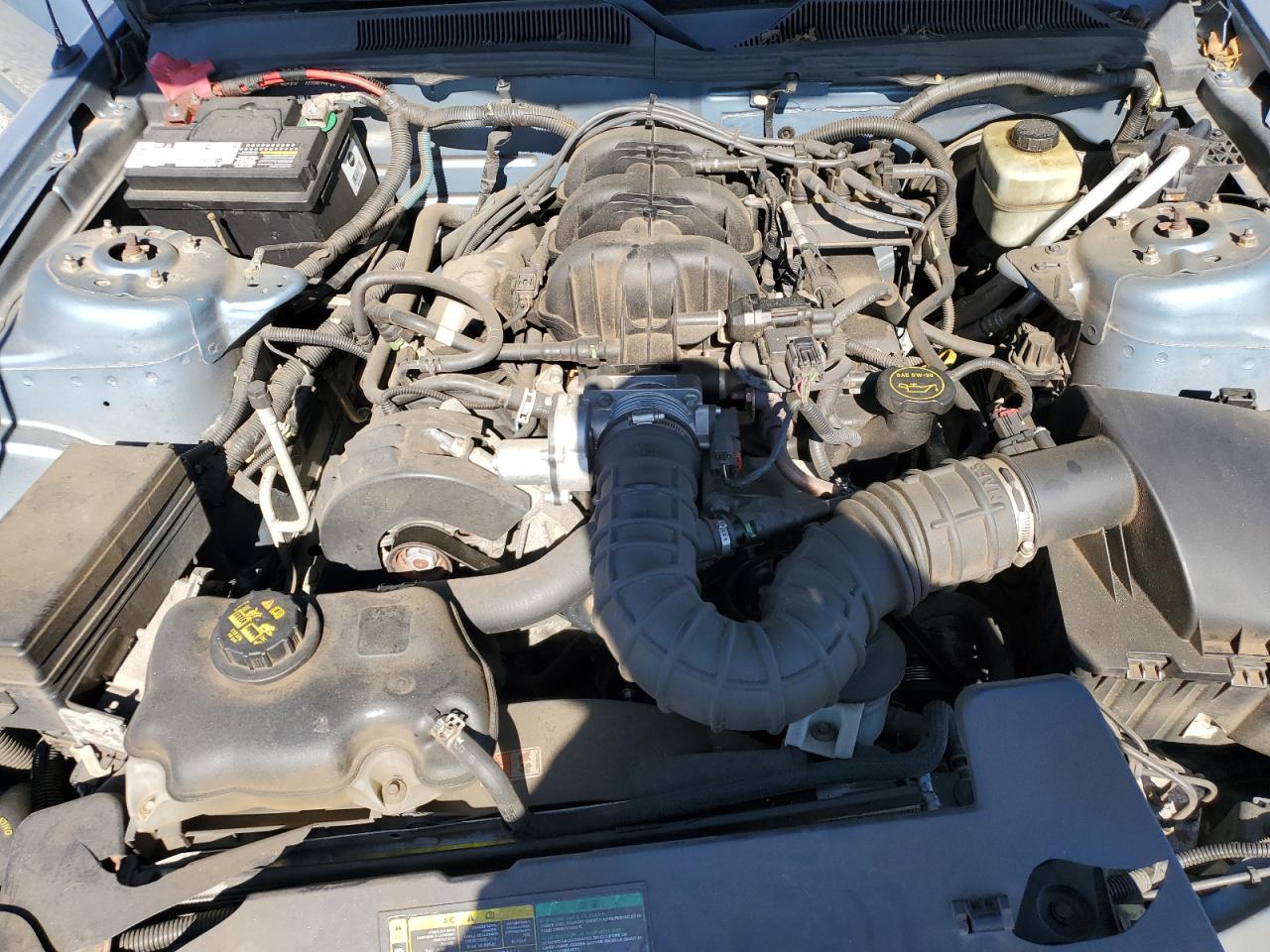 Lot #3284671327 2005 FORD MUSTANG