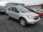 Lot #3303804422 2011 HONDA CR-V LX