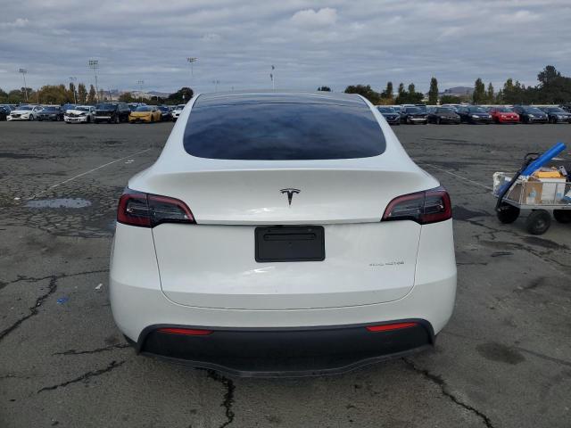 2023 TESLA MODEL Y 7SAYGDEE3PA150240