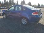 Lot #3303758422 2009 FORD FOCUS SE