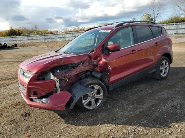 Global Auto Auctions: 2014 FORD ESCAPE SE